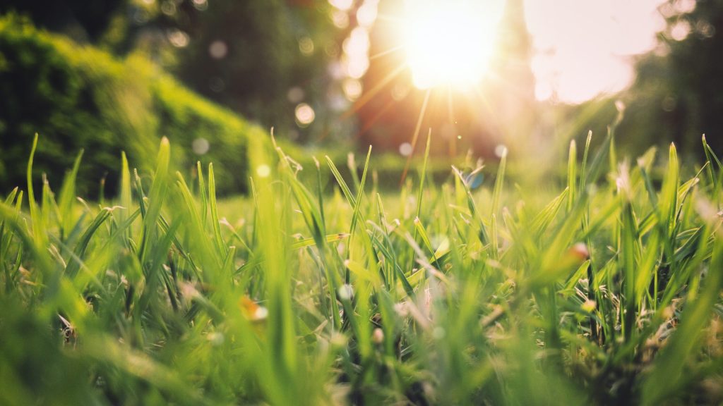 Spring investment update Swindon